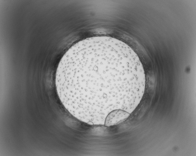 X0000116620422201001221344