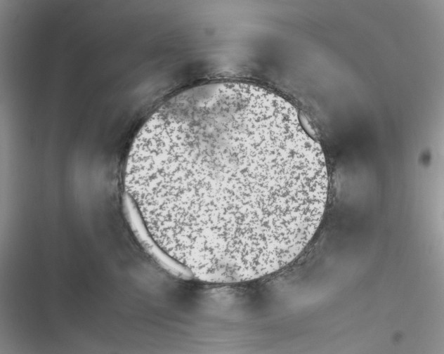 X0000116620423201001221344