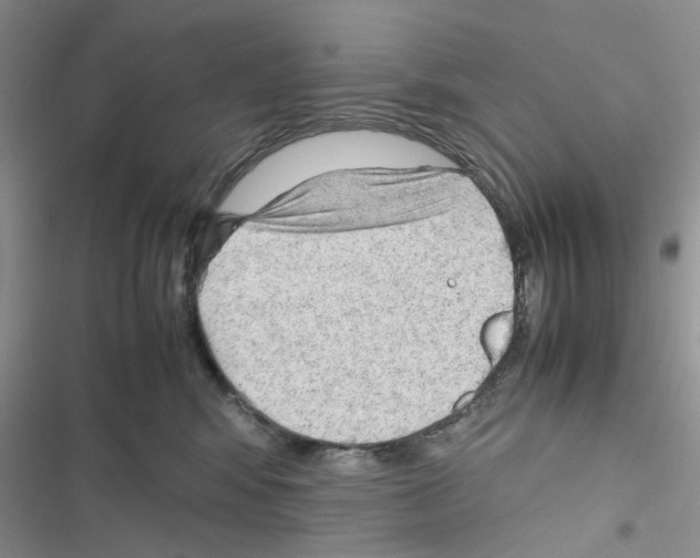 X0000116620424201001221344