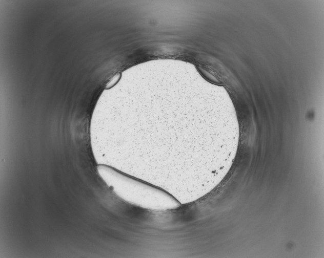 X0000116620425201001221344