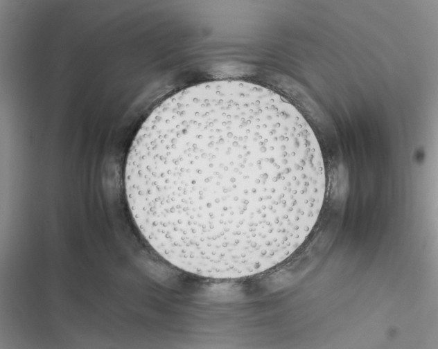 X0000116620426201001221344