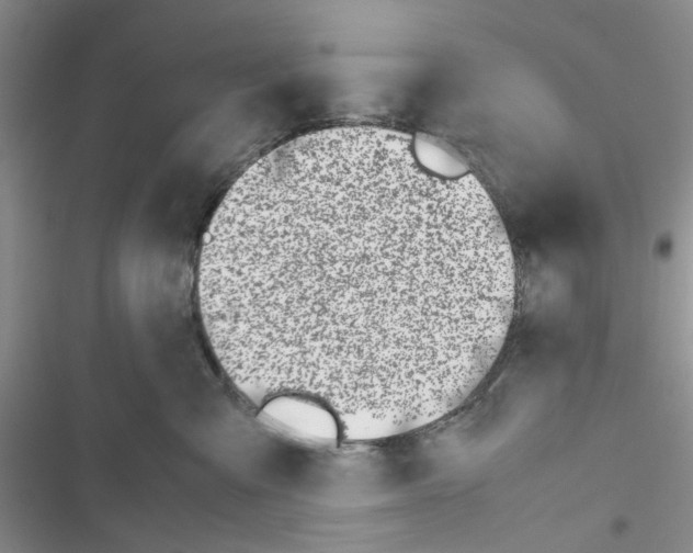 X0000116620427201001221344