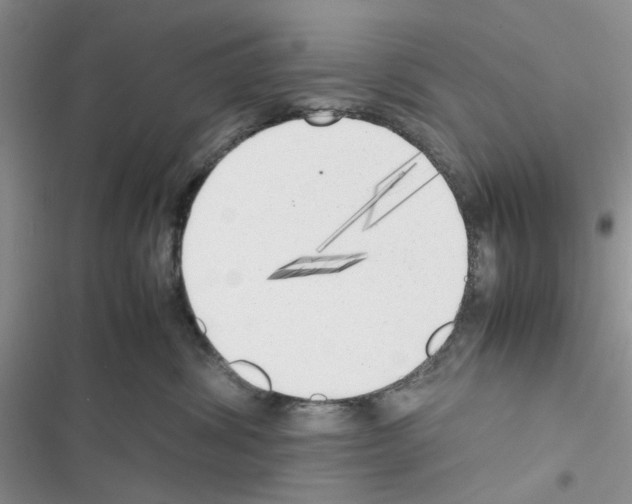 X0000116620428201001221344