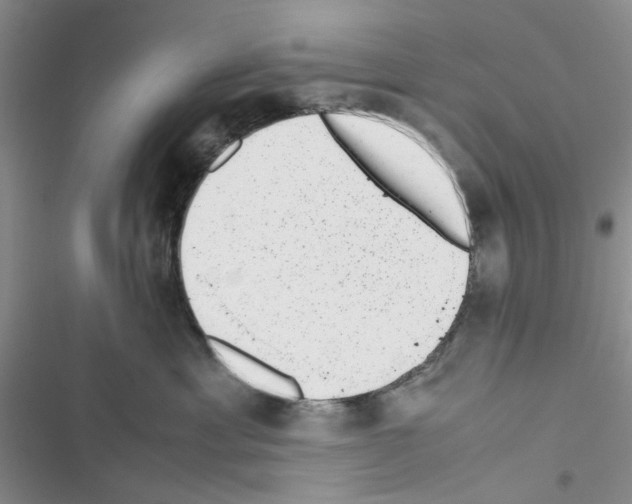 X0000116620429201001221344