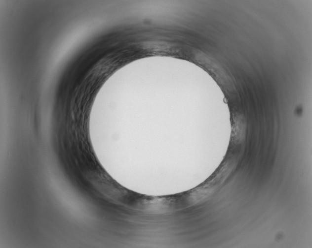 X0000116620430201001221344