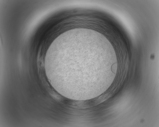 X0000116620431201001221344