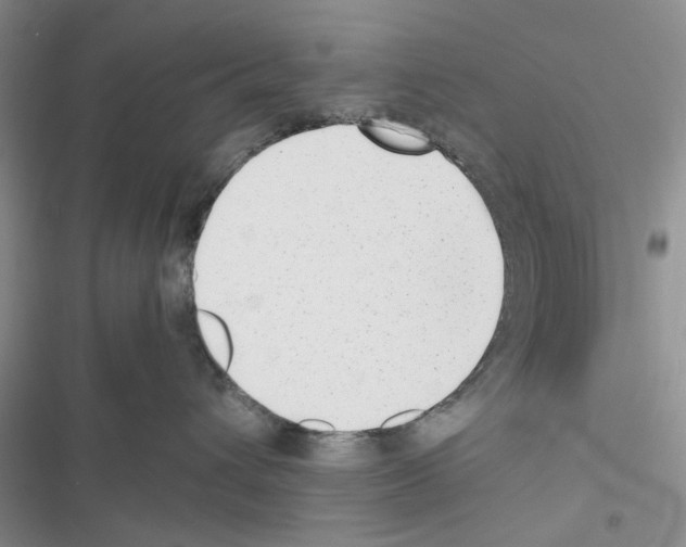 X0000116620432201001221343