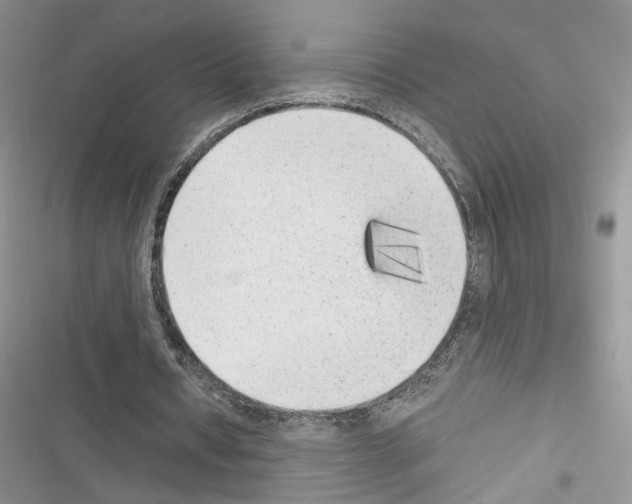 X0000116620434201001221343