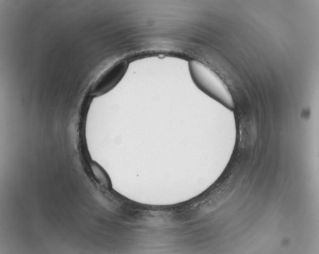X0000116620436201001221343