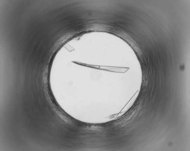 X0000116620437201001221343
