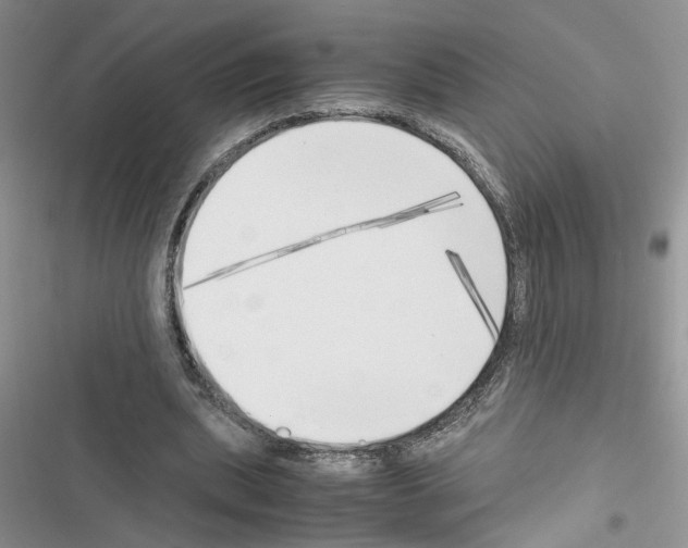 X0000116620439201001221343