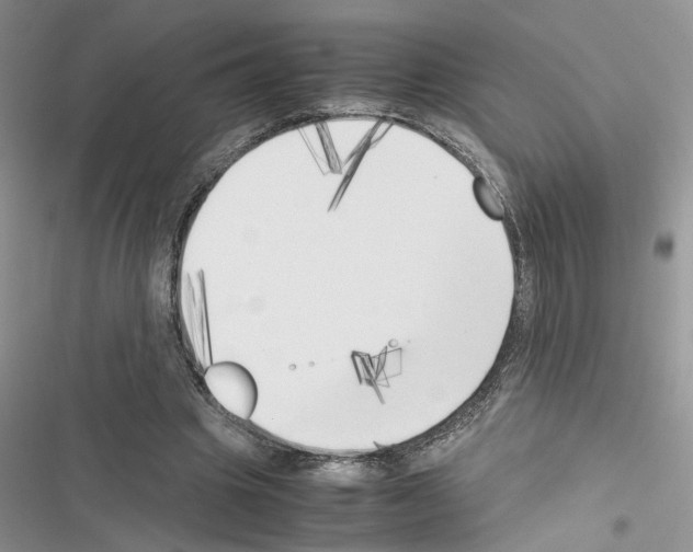 X0000116620441201001221343