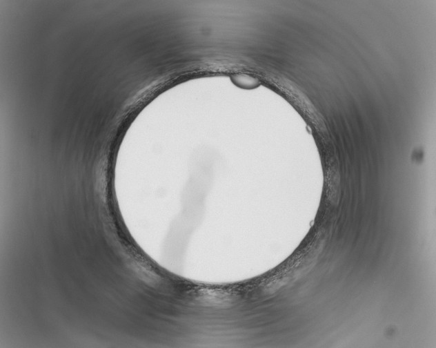 X0000116620442201001221343