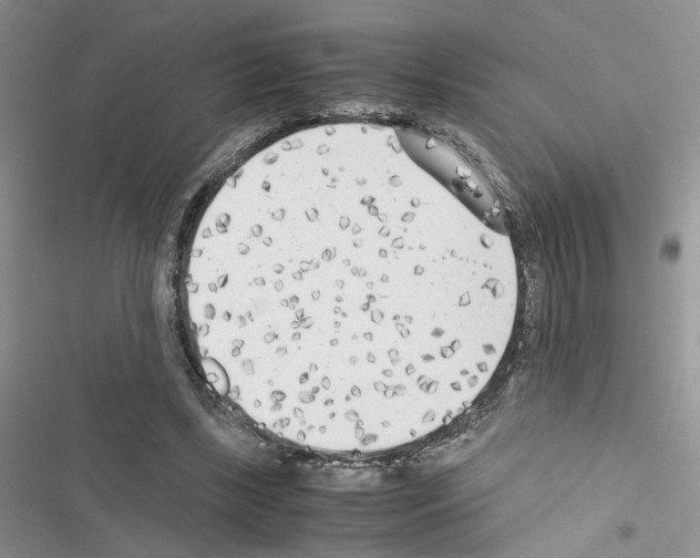 X0000116620443201001221343