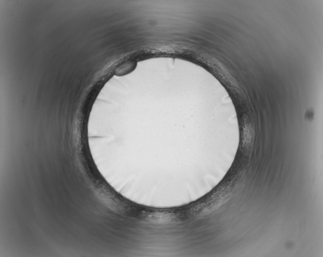 X0000116620444201001221343