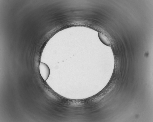 X0000116620445201001221343