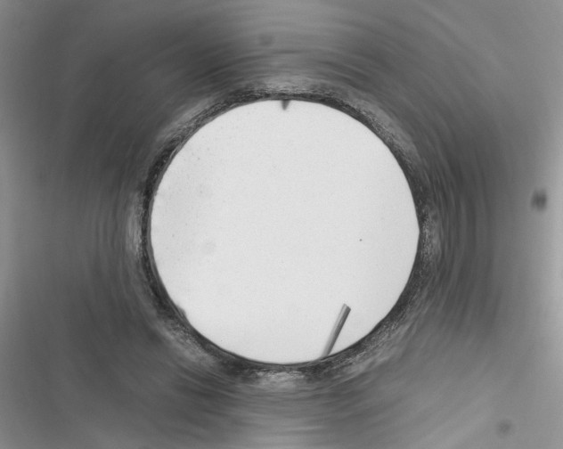 X0000116620446201001221343