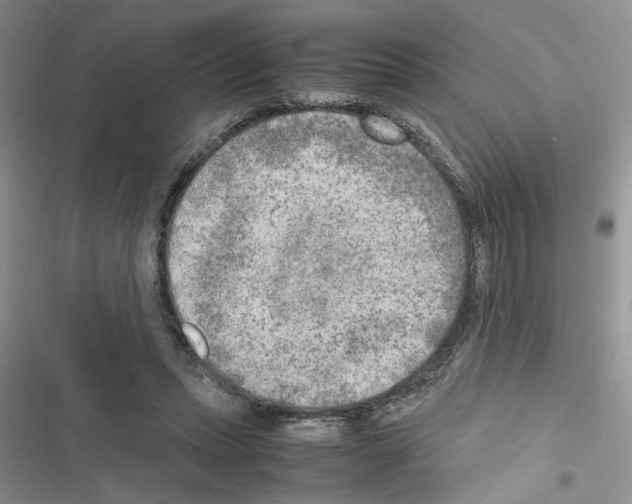 X0000116620447201001221343