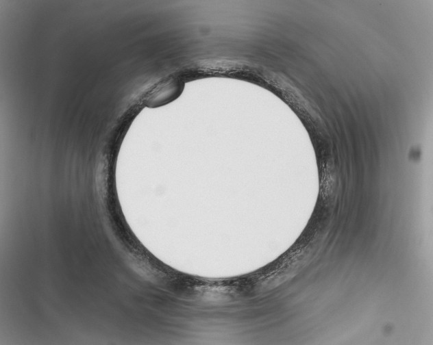 X0000116620448201001221343