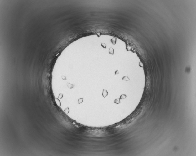 X0000116620449201001221343