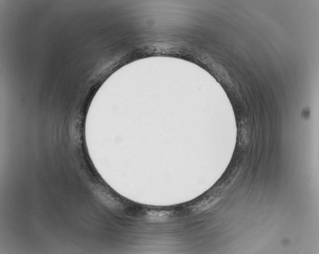 X0000116620450201001221343