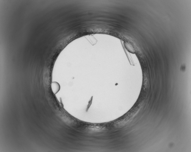 X0000116620453201001221343