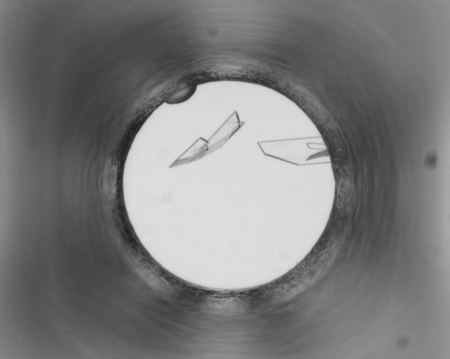 X0000116620454201001221343