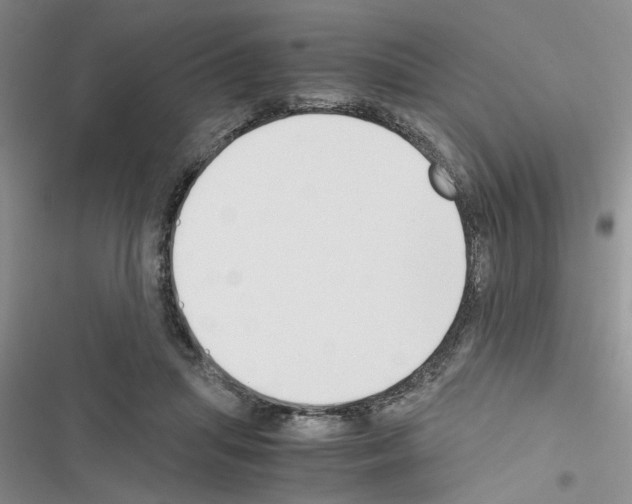X0000116620455201001221343
