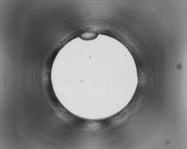 X0000116620456201001221343