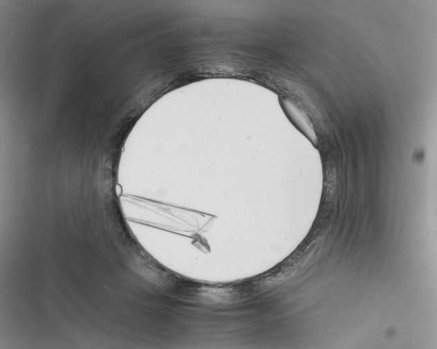 X0000116620457201001221343