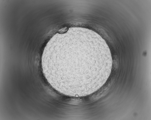 X0000116620458201001221343