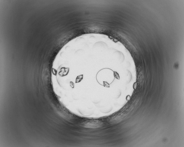 X0000116620459201001221343