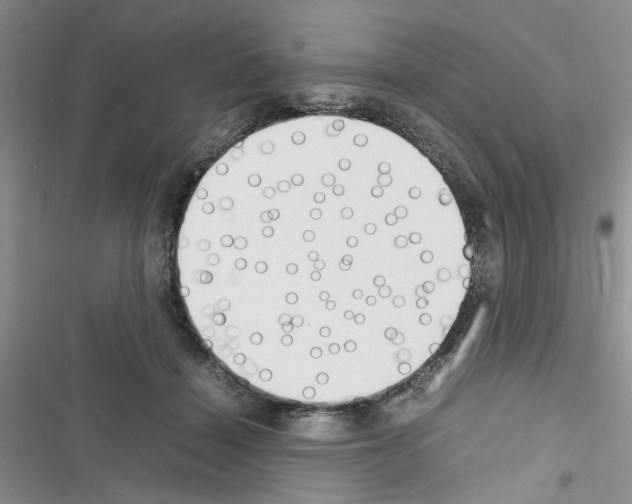 X0000116620460201001221343