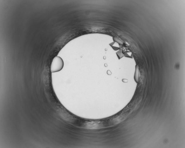 X0000116620461201001221343
