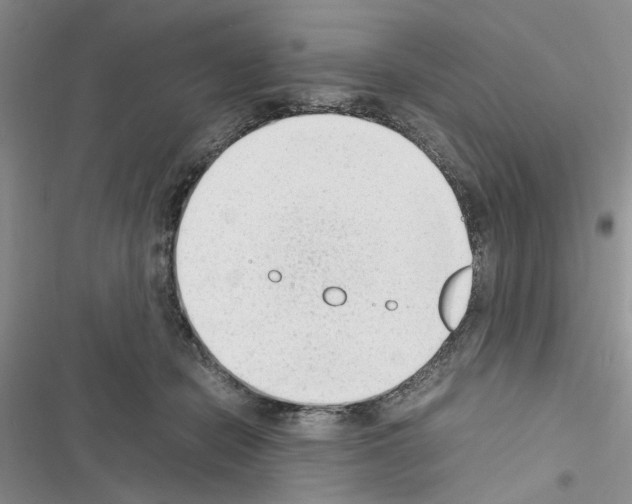 X0000116620462201001221343