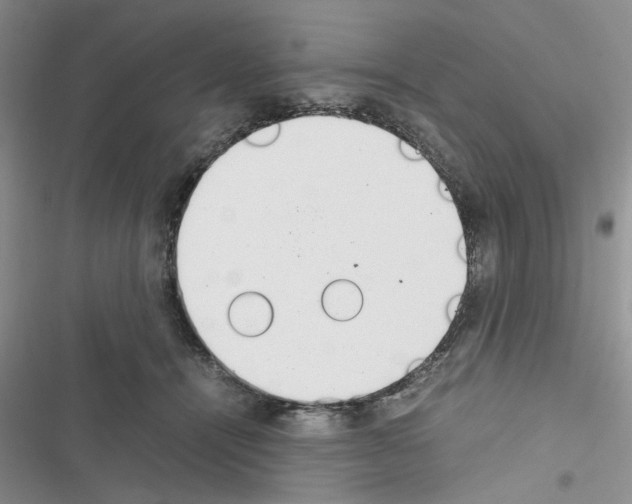 X0000116620464201001221343
