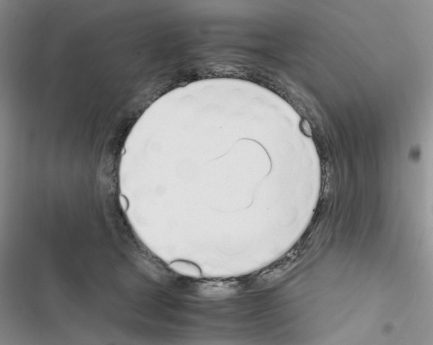 X0000116620465201001221343
