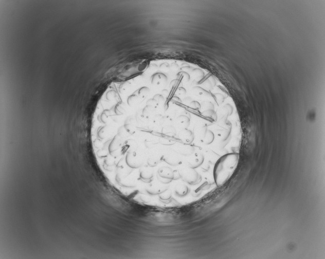 X0000116620466201001221343