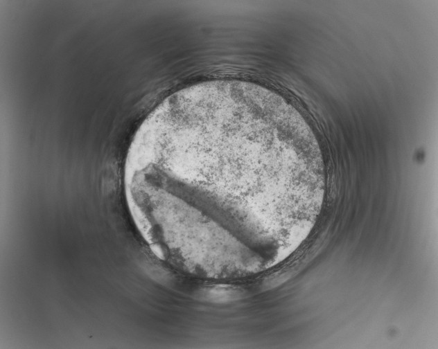 X0000116620467201001221343
