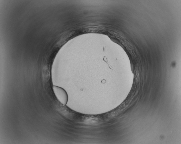 X0000116620471201001221343