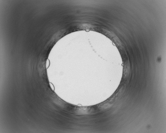 X0000116620473201001221343