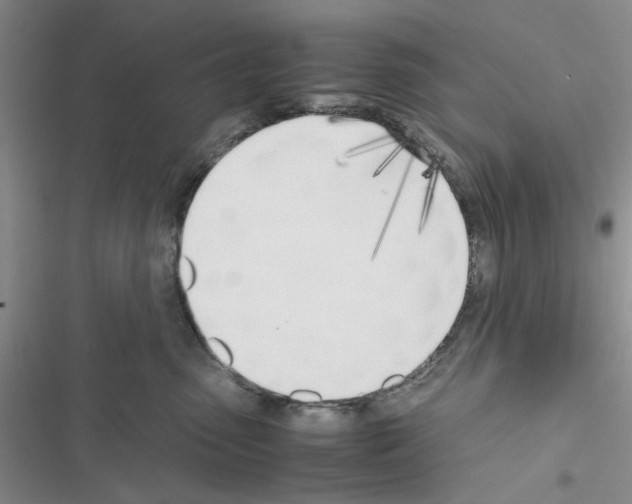 X0000116620475201001221343