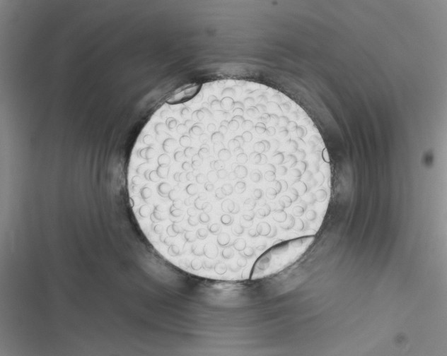X0000116620478201001221343