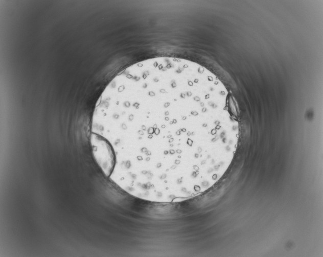 X0000116620479201001221343
