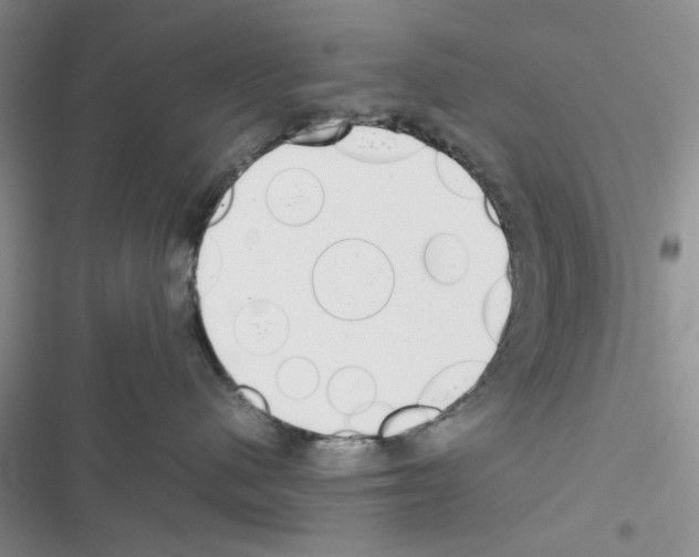 X0000116620480201001221343