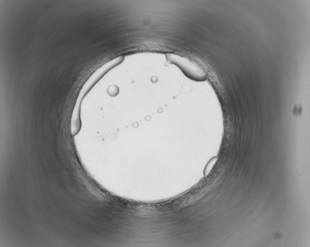X0000116620481201001221343