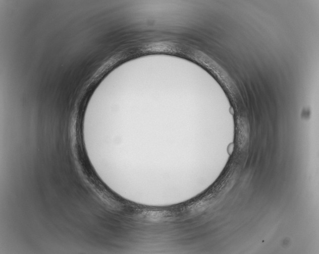 X0000116620482201001221343