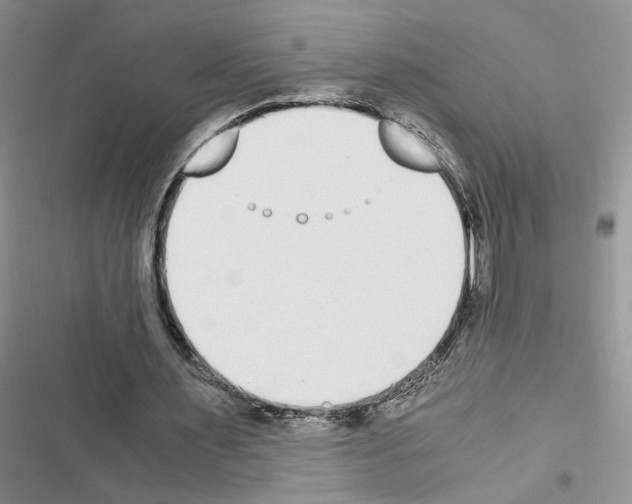 X0000116620483201001221343