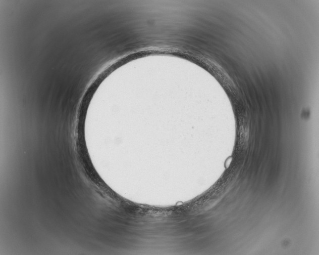 X0000116620484201001221343