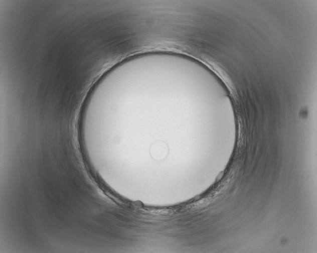 X0000116620485201001221343